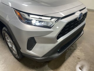 2024 Toyota RAV4 Hybrid Hybrid XLE in Hollidaysburg, PA - Go Fiore