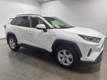 2019 Toyota RAV4 Hybrid XLE